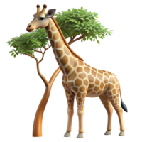 beautiful rustic A graceful giraffe reaching for leaves high in a tree, its long neck extending upwards, in a realistic, wildlife photography style authentic png