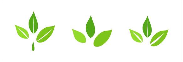 Ecology nature organic element, green leaves set of flat minimalism illustration, environment and eco friendly concept sign, clip art symbol for label, vegan, save energy and self care vector