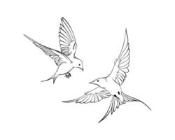 Line art illustration of flying swallows set, elegant collection of spring birds, Outline Sketch isolated on white for postcard, freedom concept, nature theme, romantic mood, harmony state of mind vector