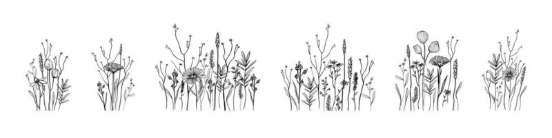 Hand drawn set, isolated compositions of wild field flora, flowers, herbs, plants, branches, Minimal botanical line art for nature backdrop, tattoo, invitations, floral border, place for text, banner vector
