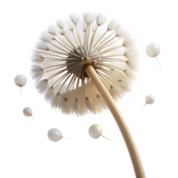 impressive traditional A single dandelion seedhead, with delicate seeds catching the light, macro photography, soft focus premium png