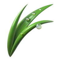 beautiful traditional A single blade of grass with dew drops, macro photography, fresh lighting professional png
