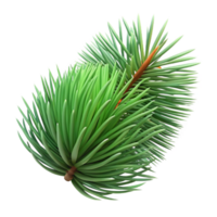 impressive minimalist A close-up of a pine needle, textured surface, realistic style 4K png