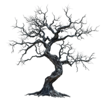 A twisted bare tree stands with many intricately branching limbs png