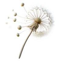 vibrant artistic Single dandelion seedhead with seeds blowing in the wind, delicate, ethereal, white background, macro photography, detailed png