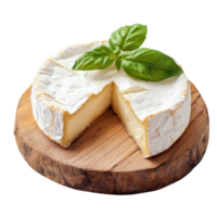 Creamy Camembert Cheese Slices on transparent Background. png