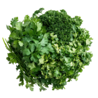 Vibrant Green Herb Mix Parsley Cilantro on transparent Background. png
