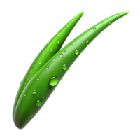 beautiful contemporary A single blade of grass covered in dew, macro photography, vibrant green, soft morning light premium png