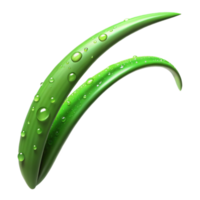 wonderful vintage A single blade of grass covered in dew, macro photography, vibrant green, soft morning light 4K png