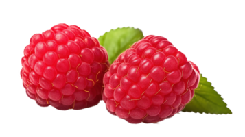 Fresh Ripe Raspberries Isolated on Transparent Background png