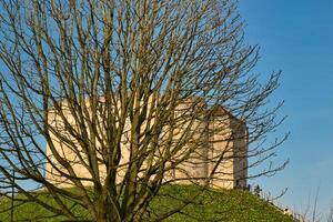 Bare Tree, Stone Building, and Green Hill in York, UK. photo