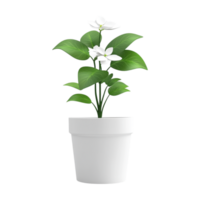 branco flor Panela com verde folhas em uma transparente fundo png