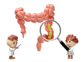 3d human colon cross section with waste in the intestine, doctor hand holding magnifying glas, check list isolated. check colon health, constipation concept, 3d illustration render png