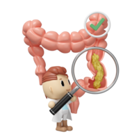 3d colon cross section with waste in the intestine, doctor hand holding magnifying glas, check mark isolated. check colon health, constipation concept, 3d illustration render png