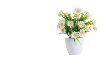 Artificial daisy flower in pot isolated on transparent background png