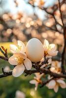 Egg on a tree branch photo