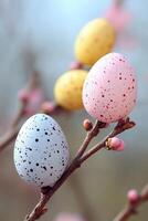 Three colorful eggs are sitting on a branch photo