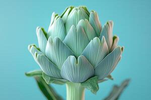 Fresh artichoke resting against a teal background showcases its vibrant green tones and intricate petal formations. Green artichoke presents its stunning green petals against a bold teal background photo