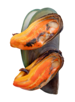Three cooked green mussels in red meat and shell in pile isolated with clipping path in file format png