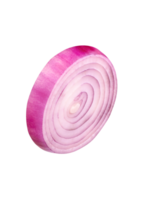 Side view of fresh red or purple onion bulb in slice in circle shape isolated with clipping path in file format png