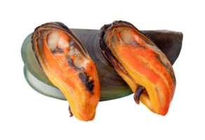 Side view of three cooked green mussels in red meat and shell in pile isolated with clipping path in file format png