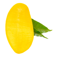A half of ripe yellow mango fruit with green leaves in vertical isolated with clipping path in file format png