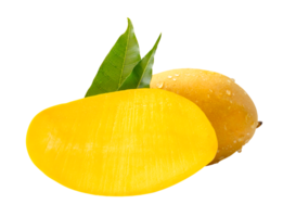 Single ripe yellow mango fruit and half with green leaves and water droplets in stack isolated with clipping path in file format png
