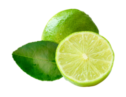 Front view of fresh green lemon fruit with half in circle shape and green leaf in small pile isolated with clipping path in file format. png