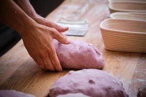 A person is kneading a dough on a table photo