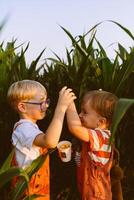 Two young boys in overalls holding hands in a corn field photo