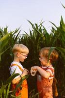 Two young boys in overalls standing in a corn field photo