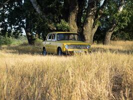 A charming yellow vintage car is parked amidst a sea of golden grass nestled beneath the shade of lush green trees on a beautiful sunny day photo