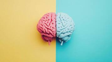 Colorful representation of a human brain divided into pink and blue halves on a bright background showcasing creativity and logic in a colorful artistic style photo