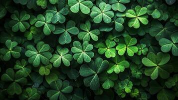 Vibrant and lush green clovers blanket the earth in a serene natural landscape, illuminated by the gentle warmth of daylight photo