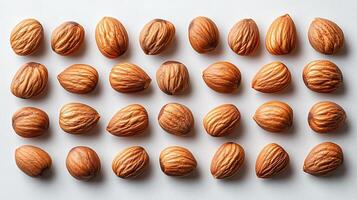 Assorted hazelnuts arranged neatly on a white surface showcasing their unique textures and natural colors photo