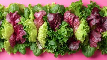 Fresh assorted salad greens arranged on a vibrant pink background showcasing various textures and colors in a visually appealing presentation photo