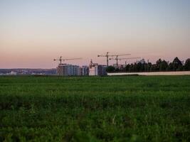 Construction project develops on the edge of a green field during twilight with cranes in the background and a peaceful atmosphere enveloping the site photo