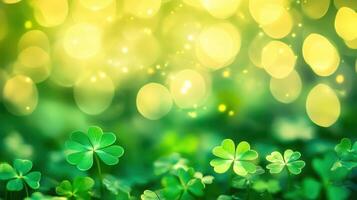 Beautiful clovers on green grass with a sparkling bokeh background under the warm sunlight in spring season photo