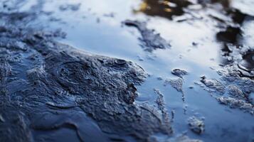 Rippling water reflects the texture of the shore at a calm lake during late afternoon light in a serene natural setting photo