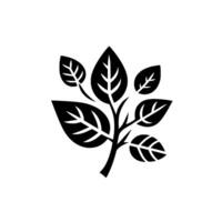 Simple black and white minimalist botanical illustration of leaves on a branch, featuring vein details. vector