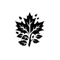 A stylized black and white illustration of a maple leaf and foliage arrangement, evoking a sense of nature, minimalism, and elegance. vector