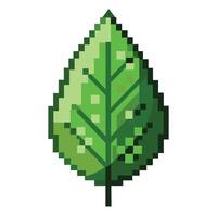 Stylized Leaf Icon with Digital Pixel and Modern Design Elements vector