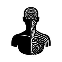 A conceptual illustration depicting the human form, split vertically, showcasing the brain and nervous system in stark contrast, evoking interconnectedness. vector