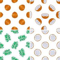 Seamless patterns with whole and halved coconuts and palm leaves on white background vector
