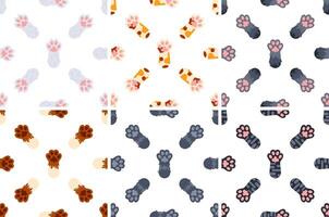 Seamless pattern with colorful cat paws showing paw pads on white background vector