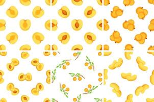 Set of seamless patterns with ripe juicy apricots, whole, halved and sliced with leaves on branches vector