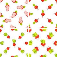 Set of seamless patterns with fresh whole, halved and sliced radish with leaves vector