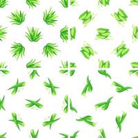 Seamless pattern of aloe vera plant and slices dripping with juice on white background vector