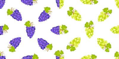 Seamless pattern with ripe green and purple grapes hanging from branch with leaves vector