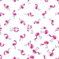 Pink flamingos seamless pattern displaying various poses on white background vector